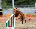 20160619-cckc-1372