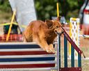 20160619-cckc-1374