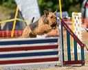 20160619-cckc-1383