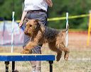 20160619-cckc-1384