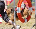 20160619-cckc-1386
