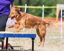 20160619-cckc-1393