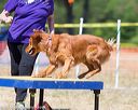 20160619-cckc-1394