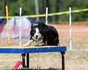 20160619-cckc-1446