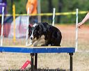 20160619-cckc-1456