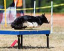 20160619-cckc-1457