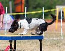 20160619-cckc-1481