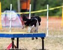 20160619-cckc-1482