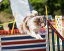 20160619-cckc-1528