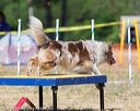 20160619-cckc-1533