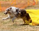 20160619-cckc-1537