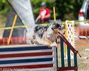 20160619-cckc-1541