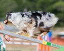 20160619-cckc-1546