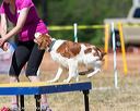 20160619-cckc-1556