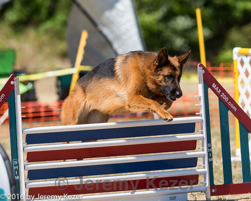 20160619-cckc-1292.jpg