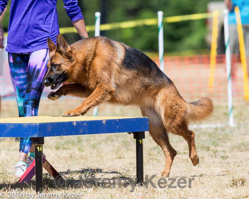 20160619-cckc-1294.jpg
