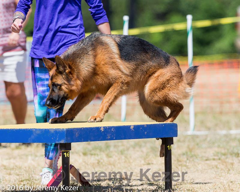 20160619-cckc-1295.jpg