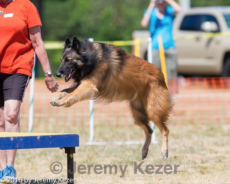 20160619-cckc-1306.jpg