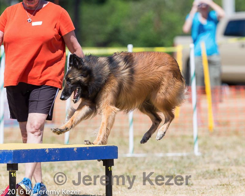 20160619-cckc-1307.jpg