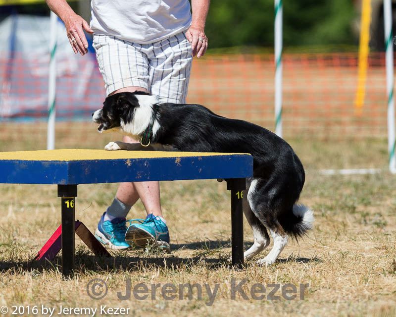20160619-cckc-1312.jpg