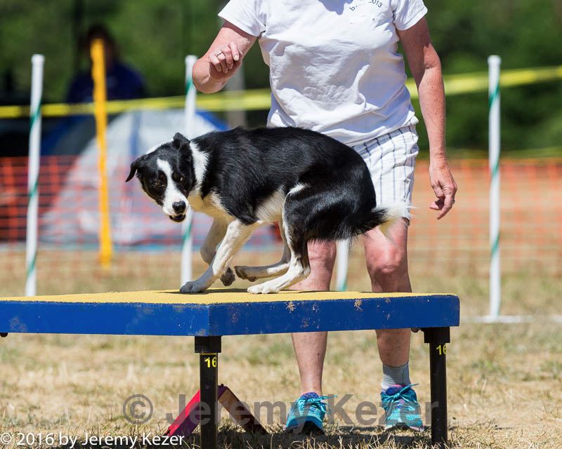 20160619-cckc-1313.jpg