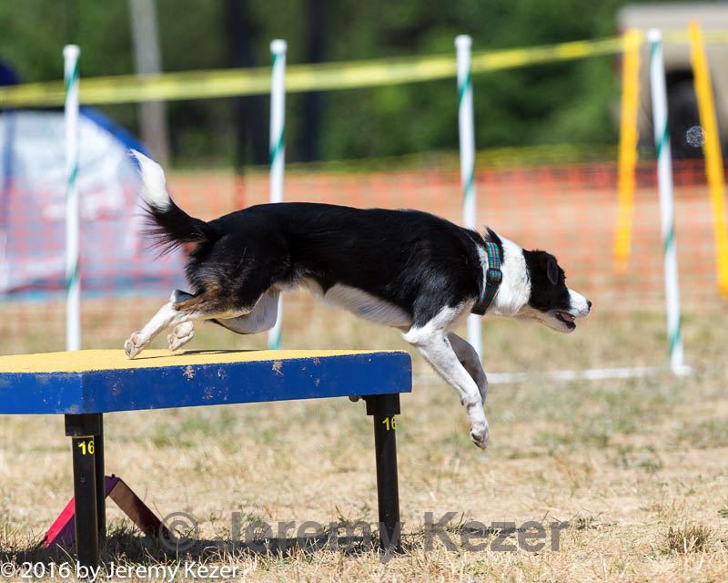 20160619-cckc-1314.jpg