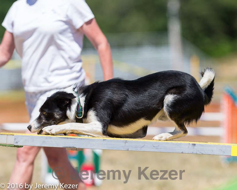 20160619-cckc-1316.jpg