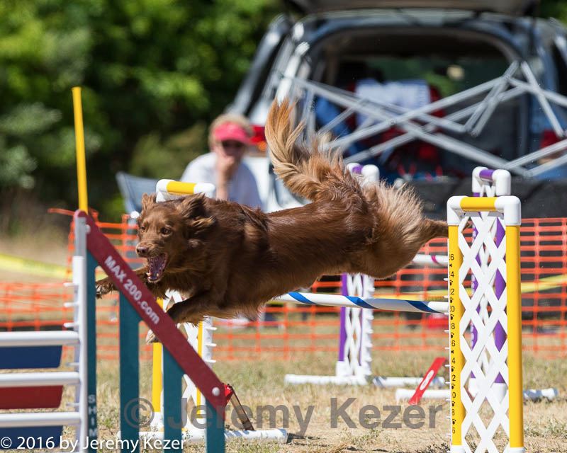 20160619-cckc-1322.jpg
