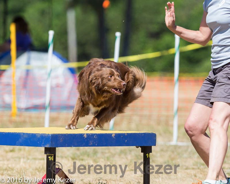 20160619-cckc-1326.jpg