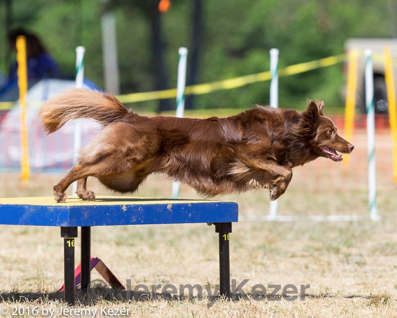 20160619-cckc-1327.jpg