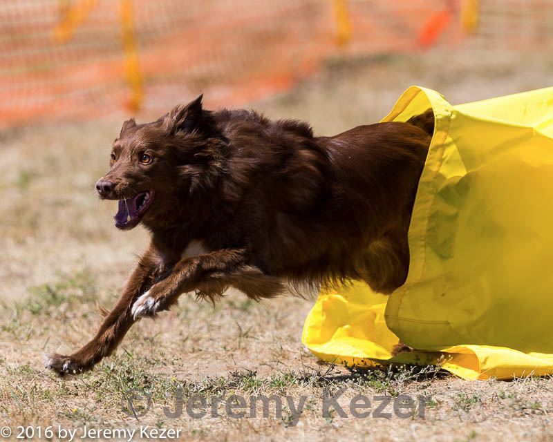 20160619-cckc-1331.jpg