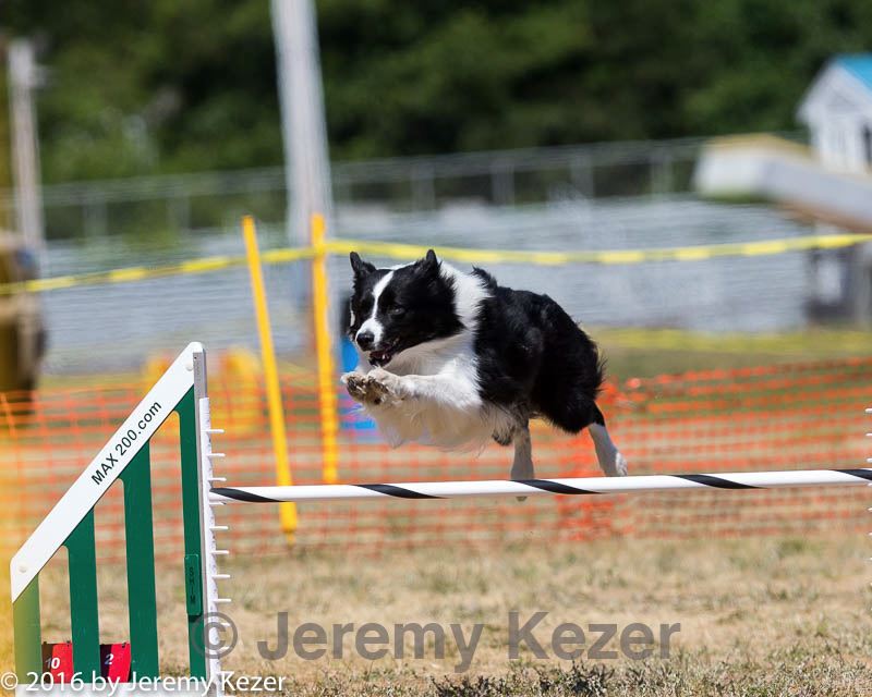 20160619-cckc-1334.jpg