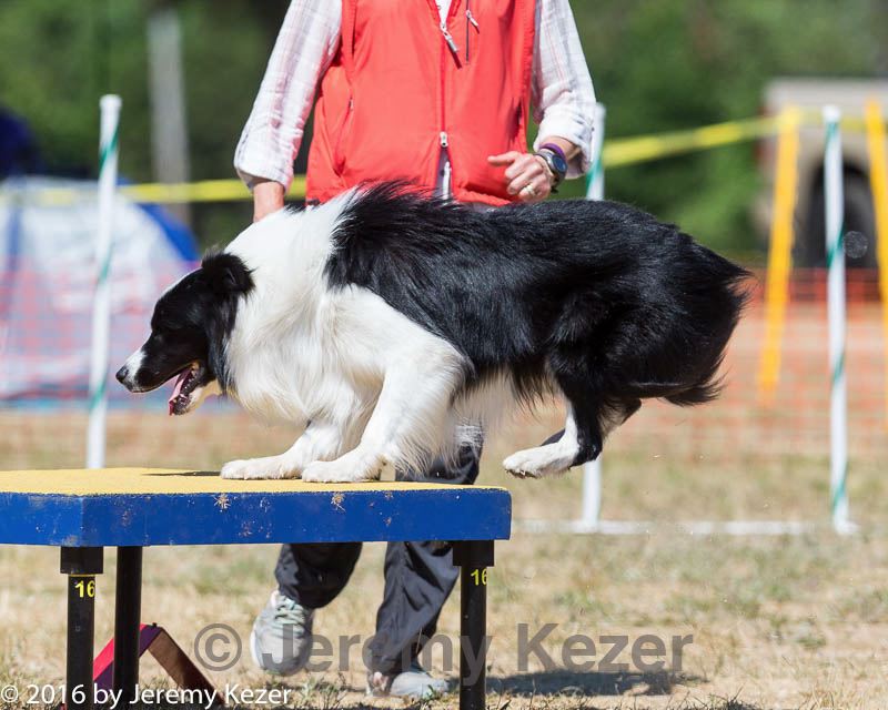 20160619-cckc-1340.jpg