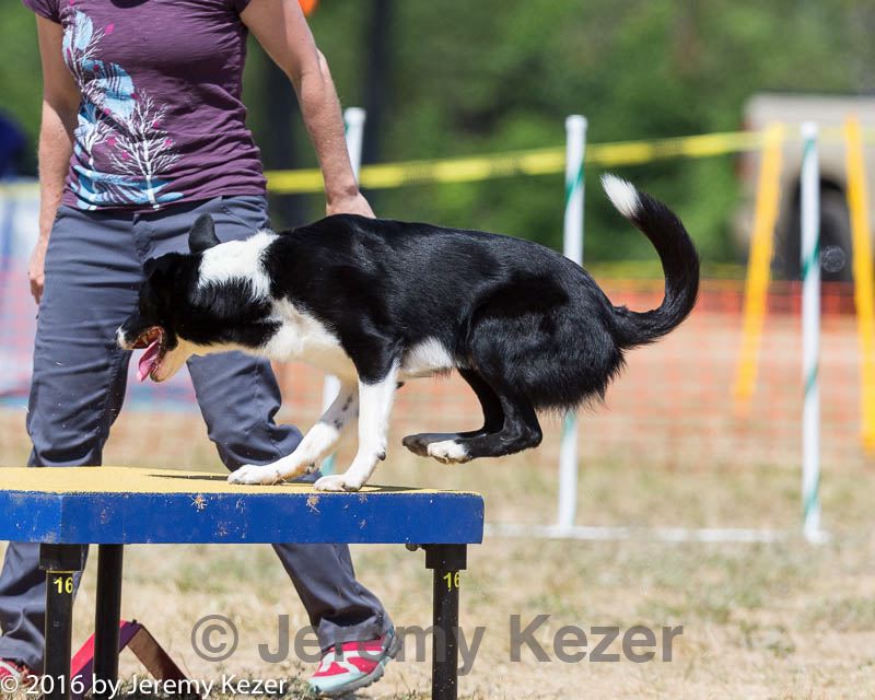 20160619-cckc-1351.jpg