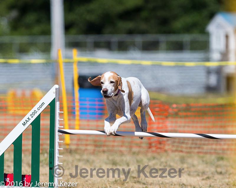 20160619-cckc-1362.jpg