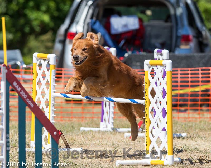 20160619-cckc-1373.jpg