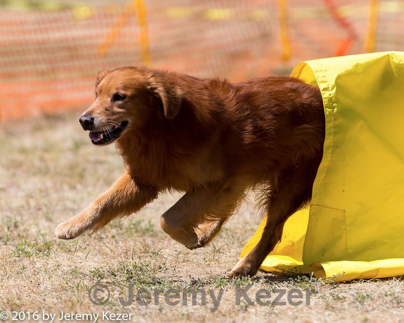 20160619-cckc-1379.jpg