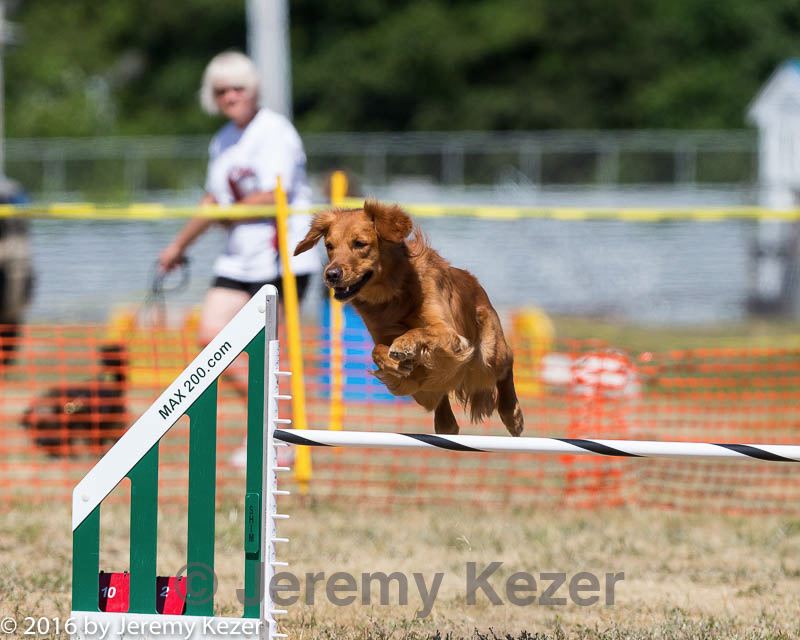 20160619-cckc-1392.jpg