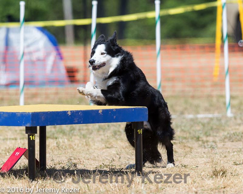20160619-cckc-1444.jpg