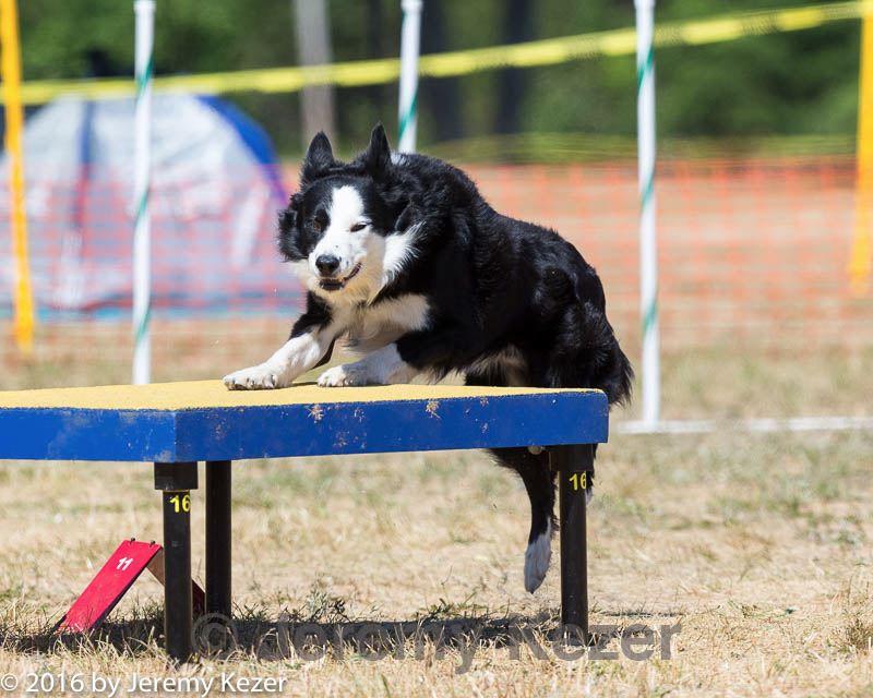 20160619-cckc-1445.jpg