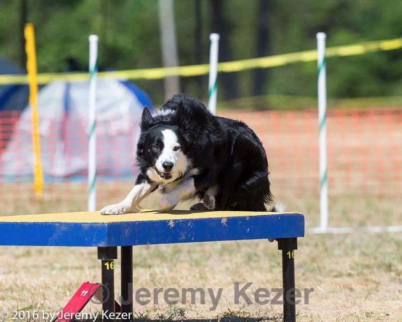 20160619-cckc-1446.jpg