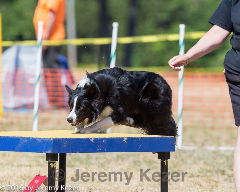 20160619-cckc-1455.jpg