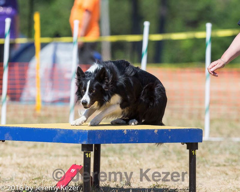 20160619-cckc-1456.jpg