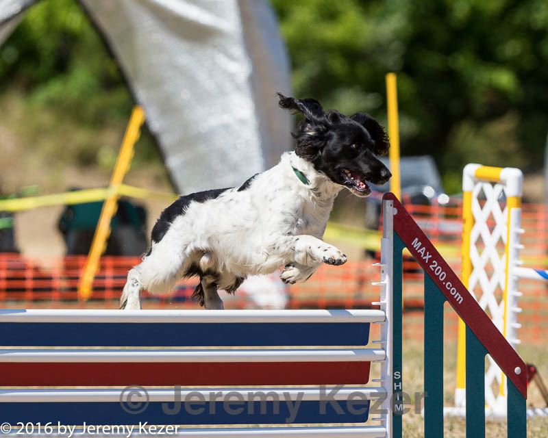 20160619-cckc-1477.jpg