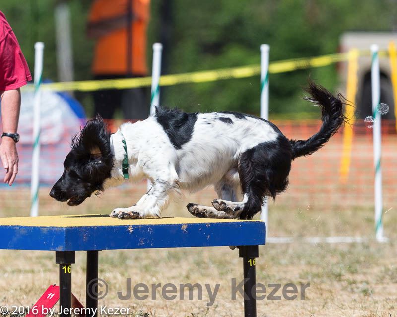 20160619-cckc-1481.jpg