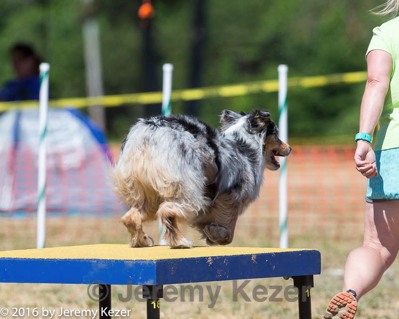 20160619-cckc-1545.jpg