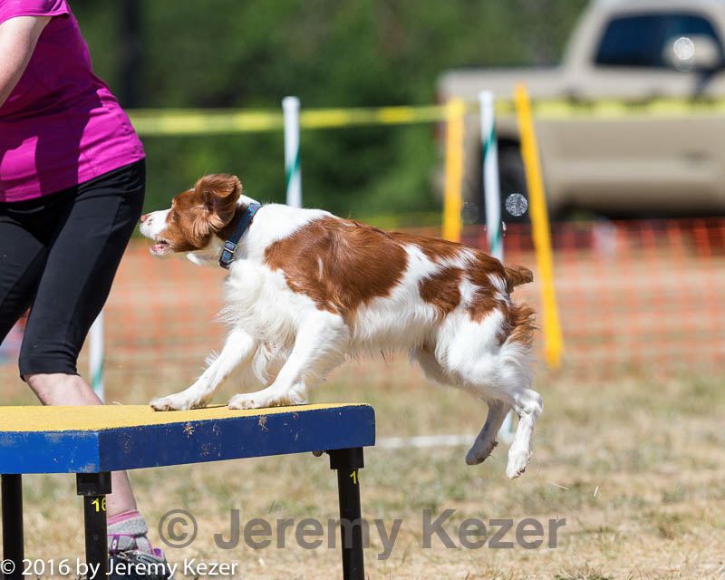 20160619-cckc-1555.jpg