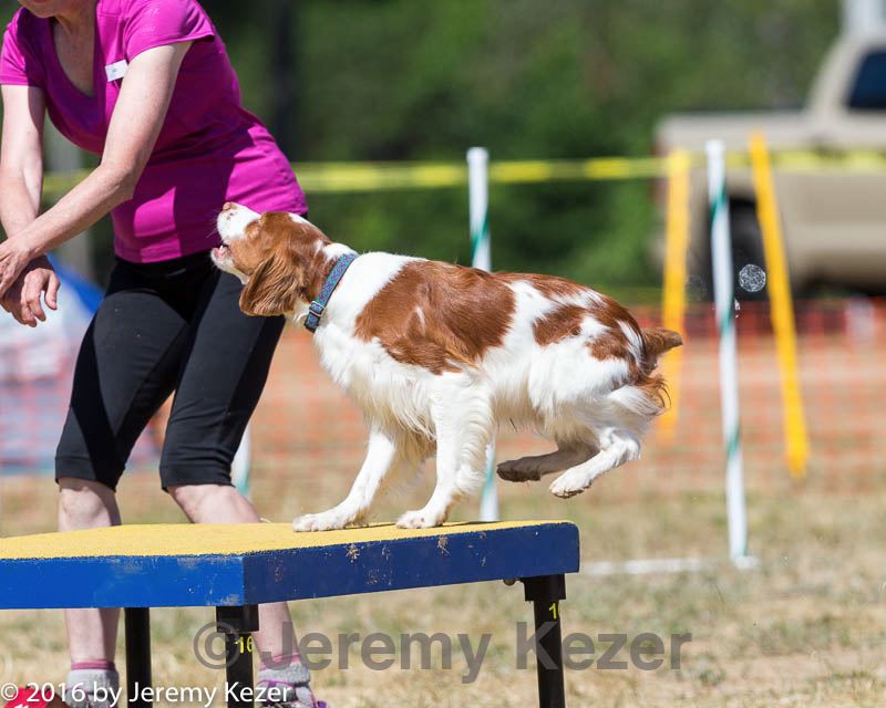 20160619-cckc-1556.jpg