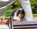 20160619-cckc-1570