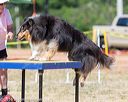 20160619-cckc-1576